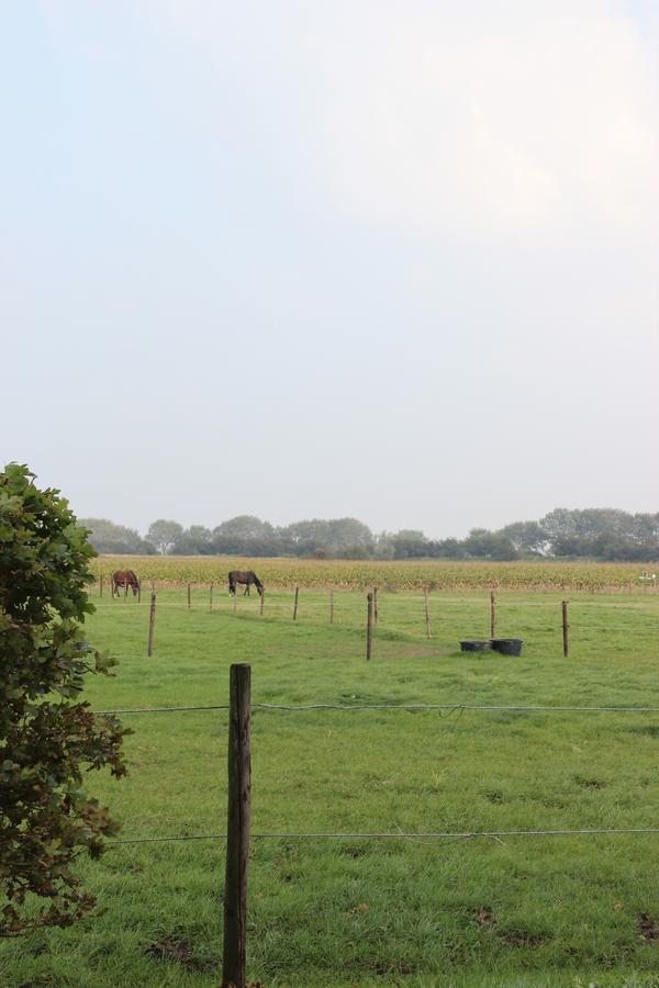 Gastenverblijven Boerderij Het Driespan Middelburg Ngoại thất bức ảnh